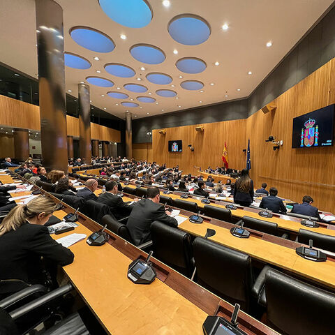 Schiller participates at the MEP project, where 17-year-olds discuss European issues at the Congress of Deputies