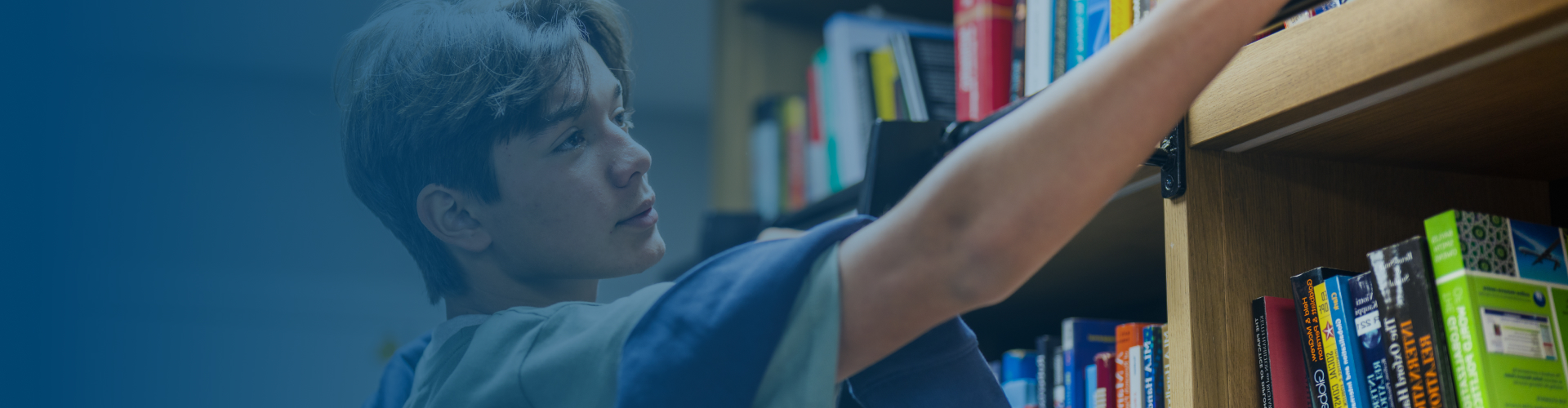 MSc in Global Finance allows you to learn international finance and fintech trends