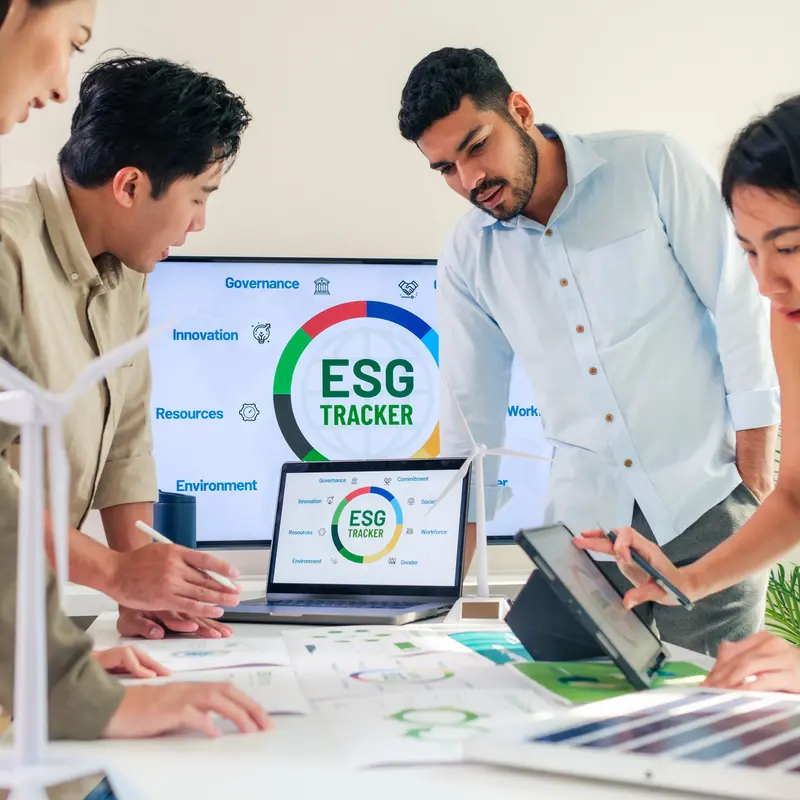 Choose an MSc in Sustainability Management for Global Career Opportunities