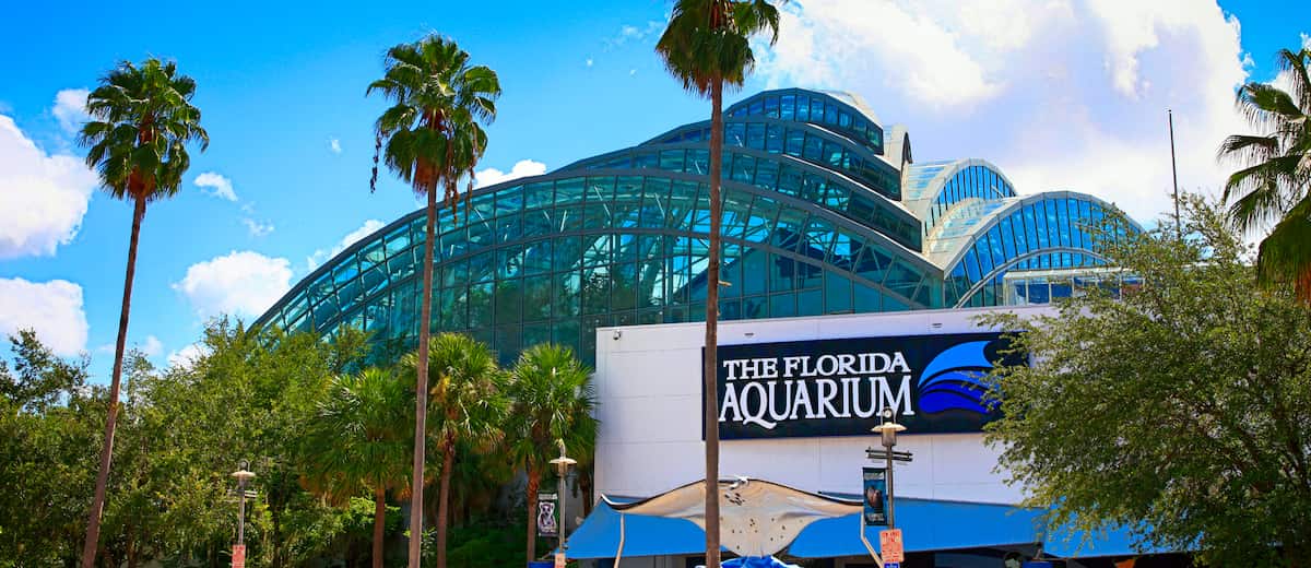 The Florida Aquarium