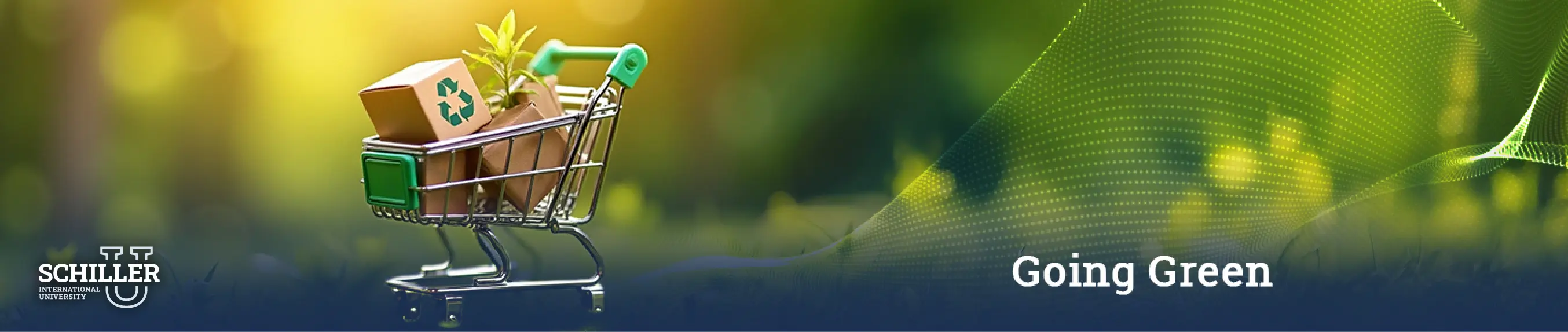 Sustainable E-commerce Going Green
