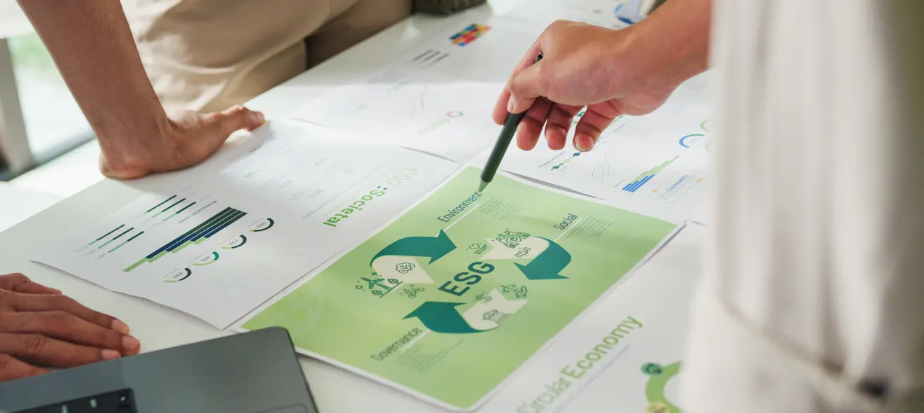 MS in Sustainability Management Opens Doors to Global Career Opportunities